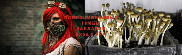 мдпв Волосово