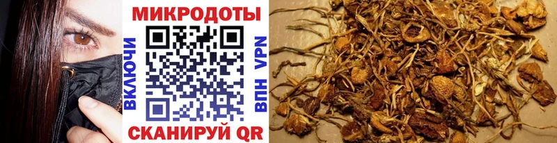 Галлюциногенные грибы Cubensis  Купить  Касимов 